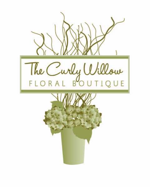 Curly Willow