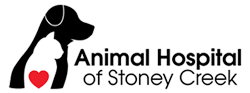 Animal Hospital of Stoney Creek