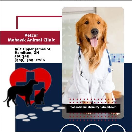 Vetcor - Mohawk Animal Clinic